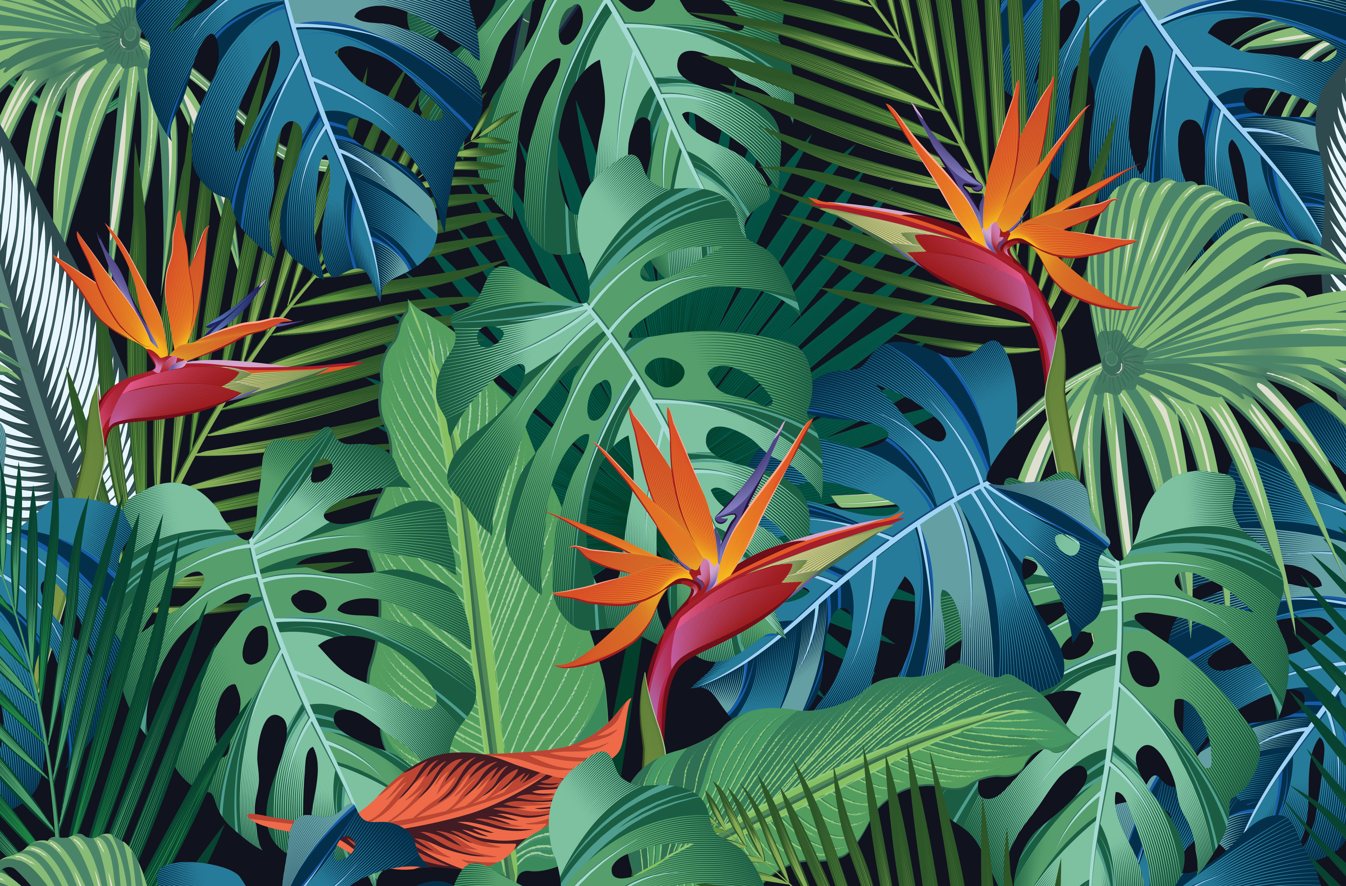 EasyMediaUK jungle artwork