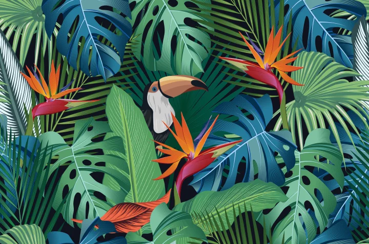 EasyMediaUK toucan among illustrated tropical leaves